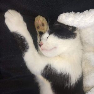 Meet your Posher, Riley